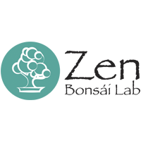 logo zen bonsai nuevo